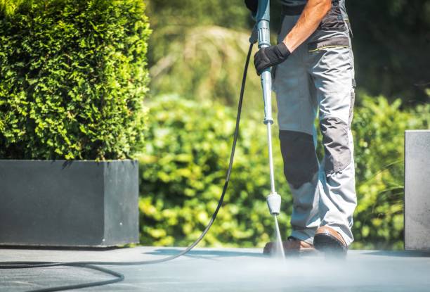 Best Pool Deck Cleaning  in Shoshone, ID
